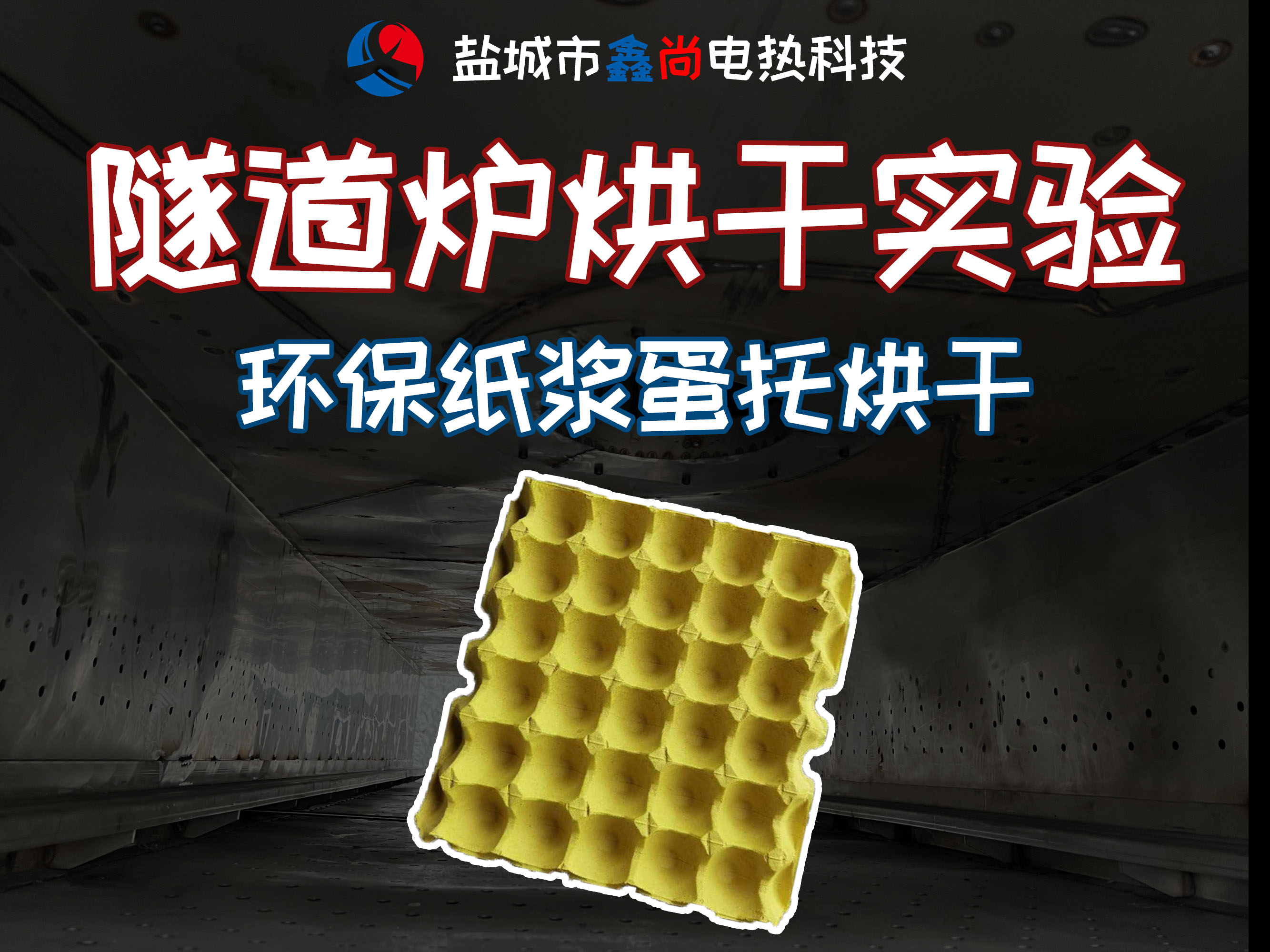 蛋托烘干隧道炉设备实验成功